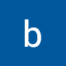 bytesing inc